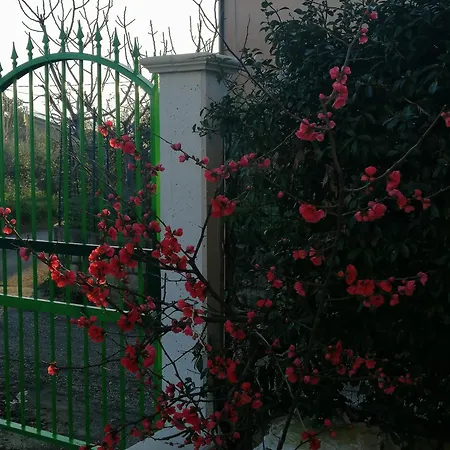 Cydonia Farm stay Ari