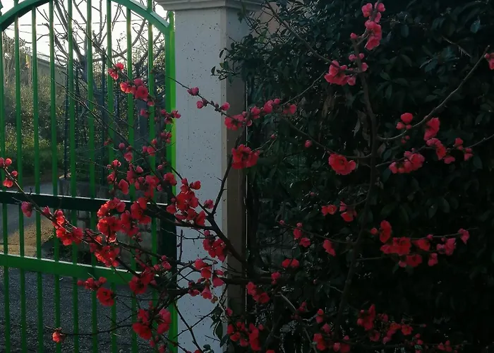 Cydonia Farm stay Ari