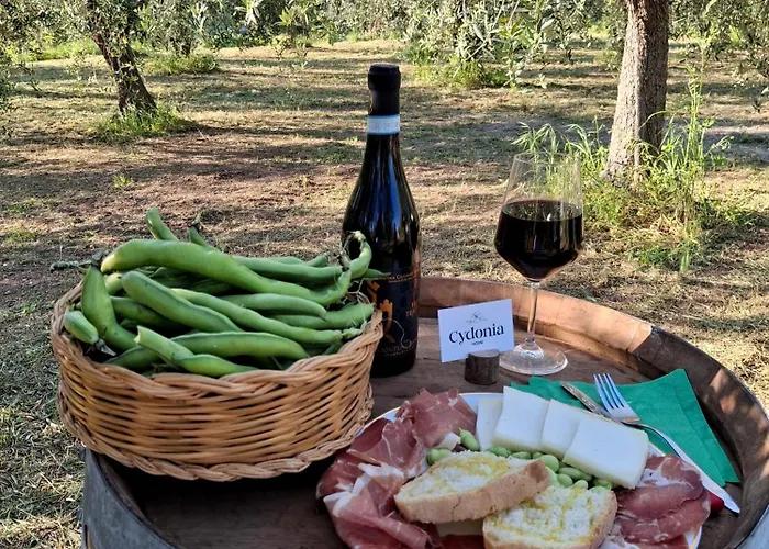 Séjour à la ferme Cydonia Ari
